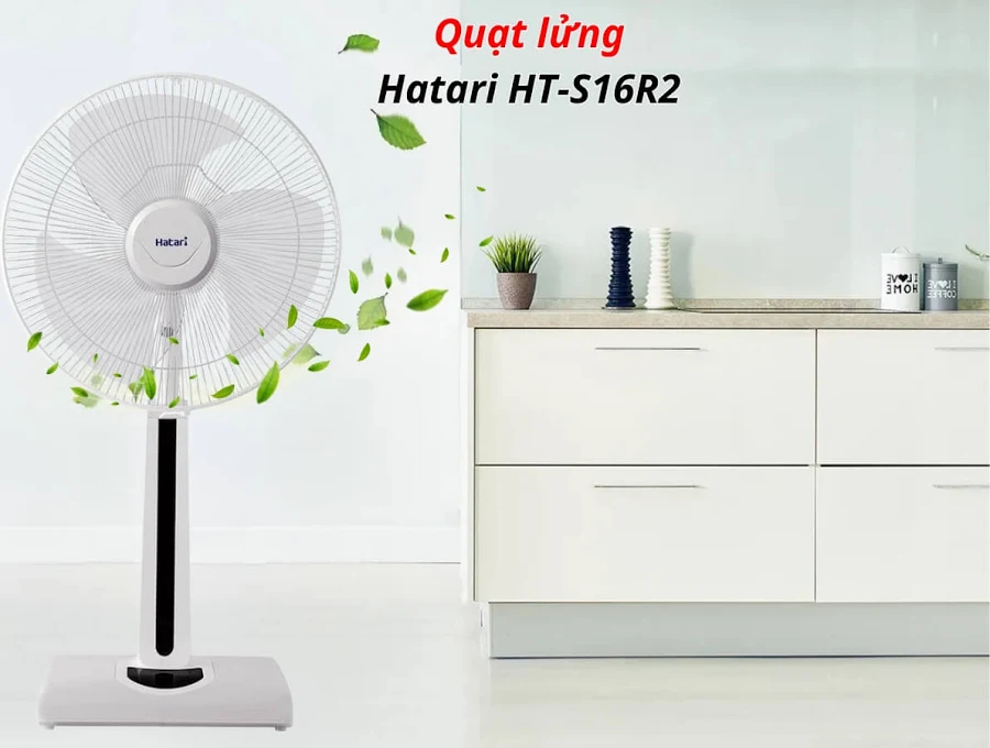 quat lung hatari phong ngu