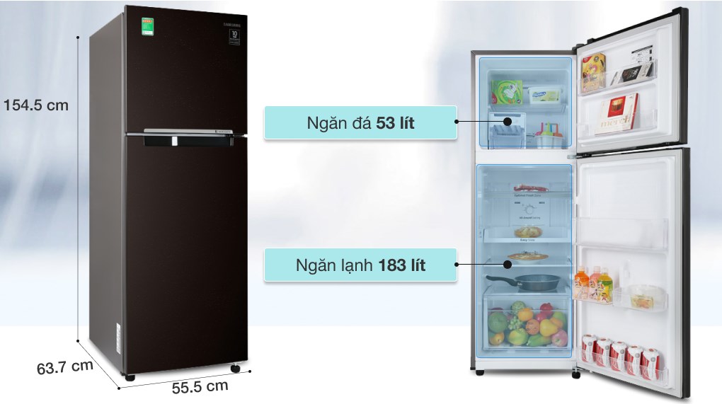 Tủ lạnh Samsung Inverter 236 lít RT22M4032BY/SV