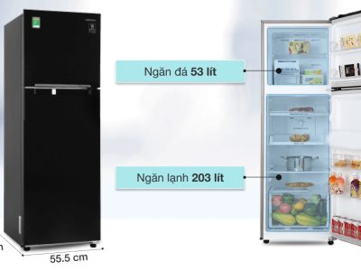 Tủ lạnh Samsung RT25M4032BU/SV 256 lít