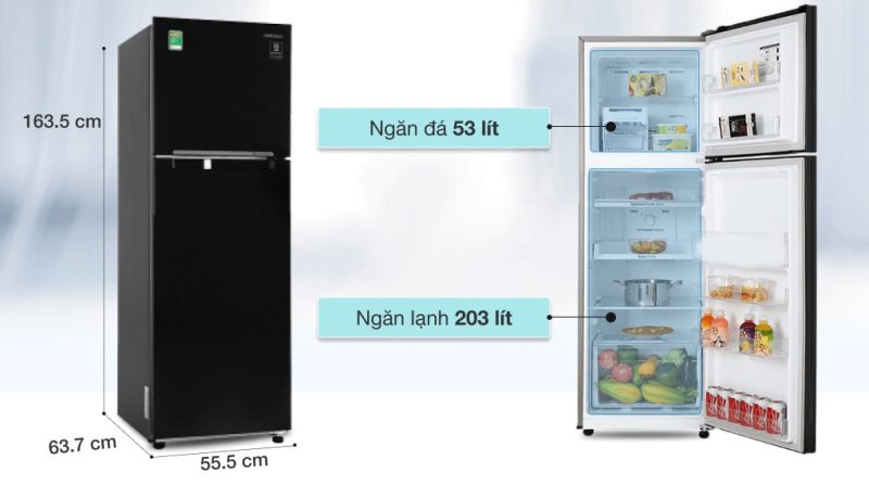 Tủ lạnh Samsung RT25M4032BU/SV 256 lít