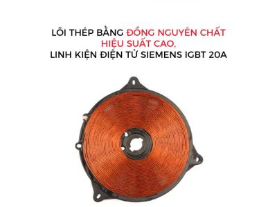 Bếp từ đơn Rapido RI2000ES