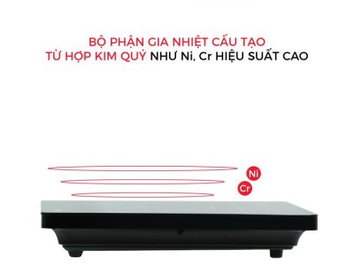Bếp hồng ngoại đơn Rapido RC2000ES