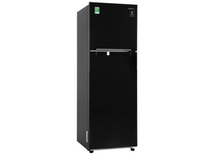 Tủ lạnh Samsung RT25M4032BU/SV 256 lít