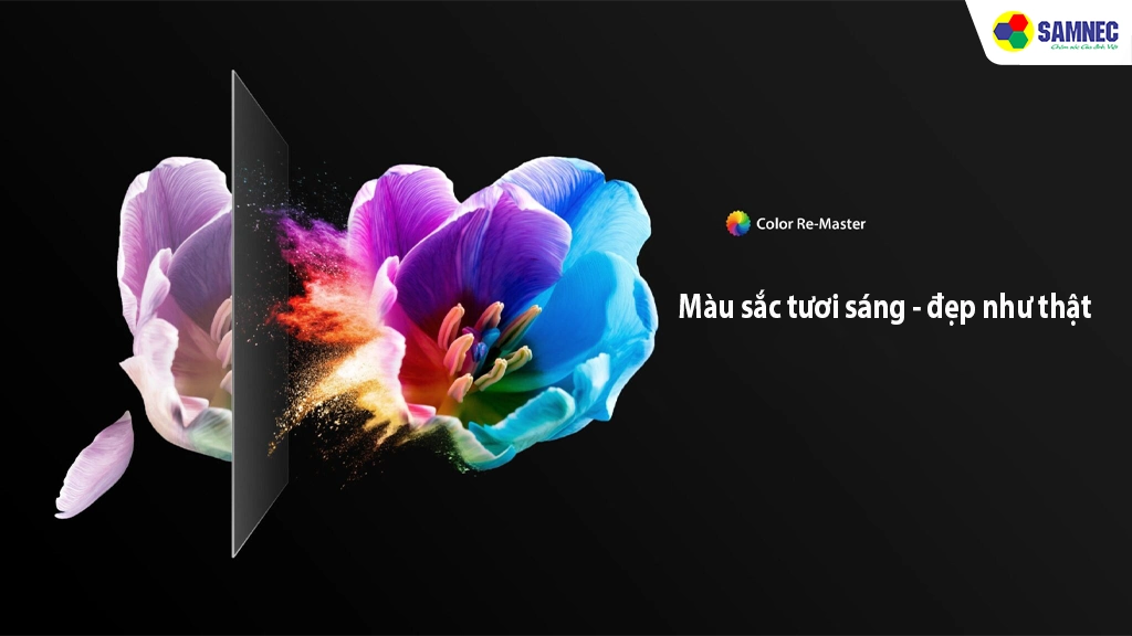 Tivi Toshiba 4K 43 inch 43E330NP