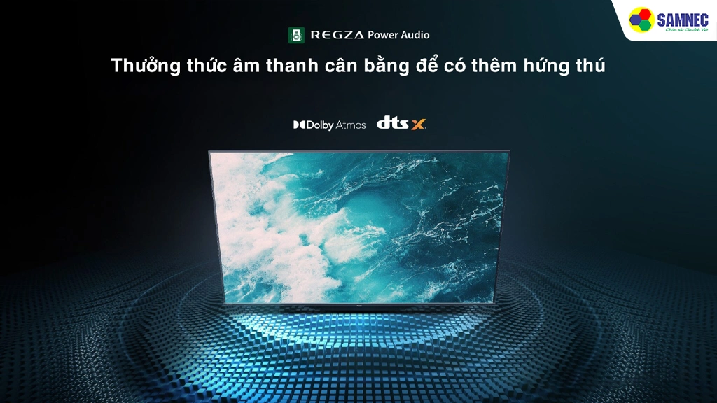 Tivi Toshiba 4K 43 inch 43E330NP