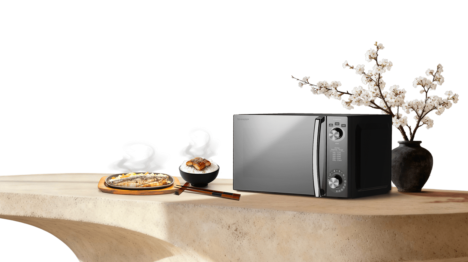 lo-vi-song-khong-dia-xoay-sharp-r-2046fb-bk