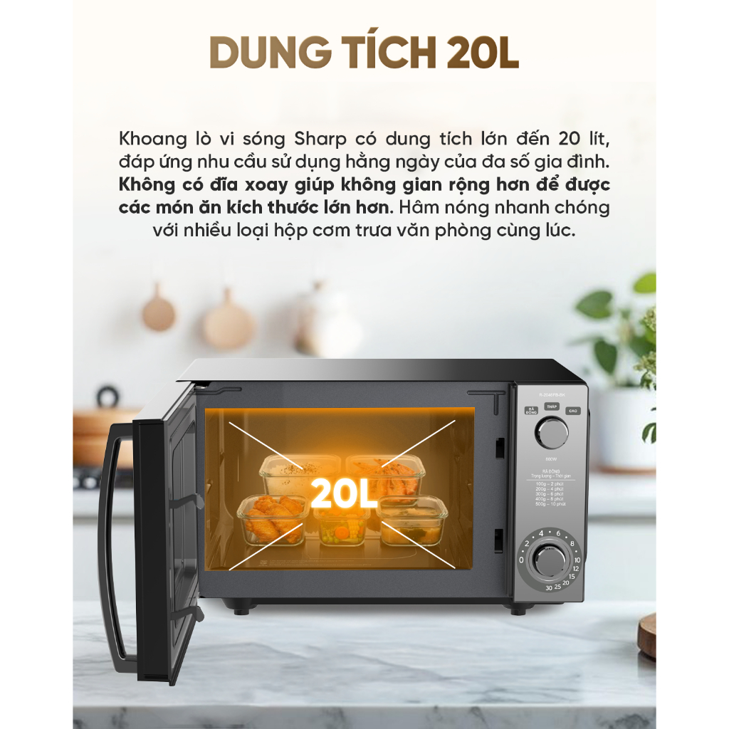 lo-vi-song-mam-phang-sharp-20l