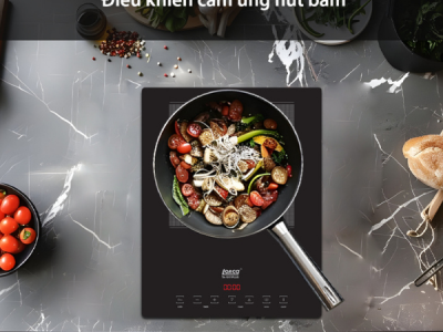Bếp từ Lorca TA-1017 PLUS mặt kính Kanger