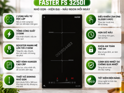 Bếp từ đôi Domino Faster FS 325DI